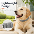 Gainstarx Adjustable Fresh Scent Dog Collar – Comfortable Lightweight Pet Collar for Large Dogs (Over 18 lbs)