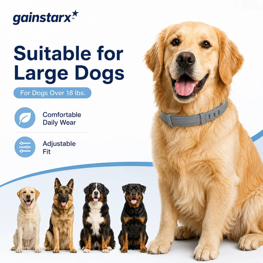 Gainstarx Adjustable Fresh Scent Dog Collar – Comfortable Lightweight Pet Collar for Large Dogs (Over 18 lbs)