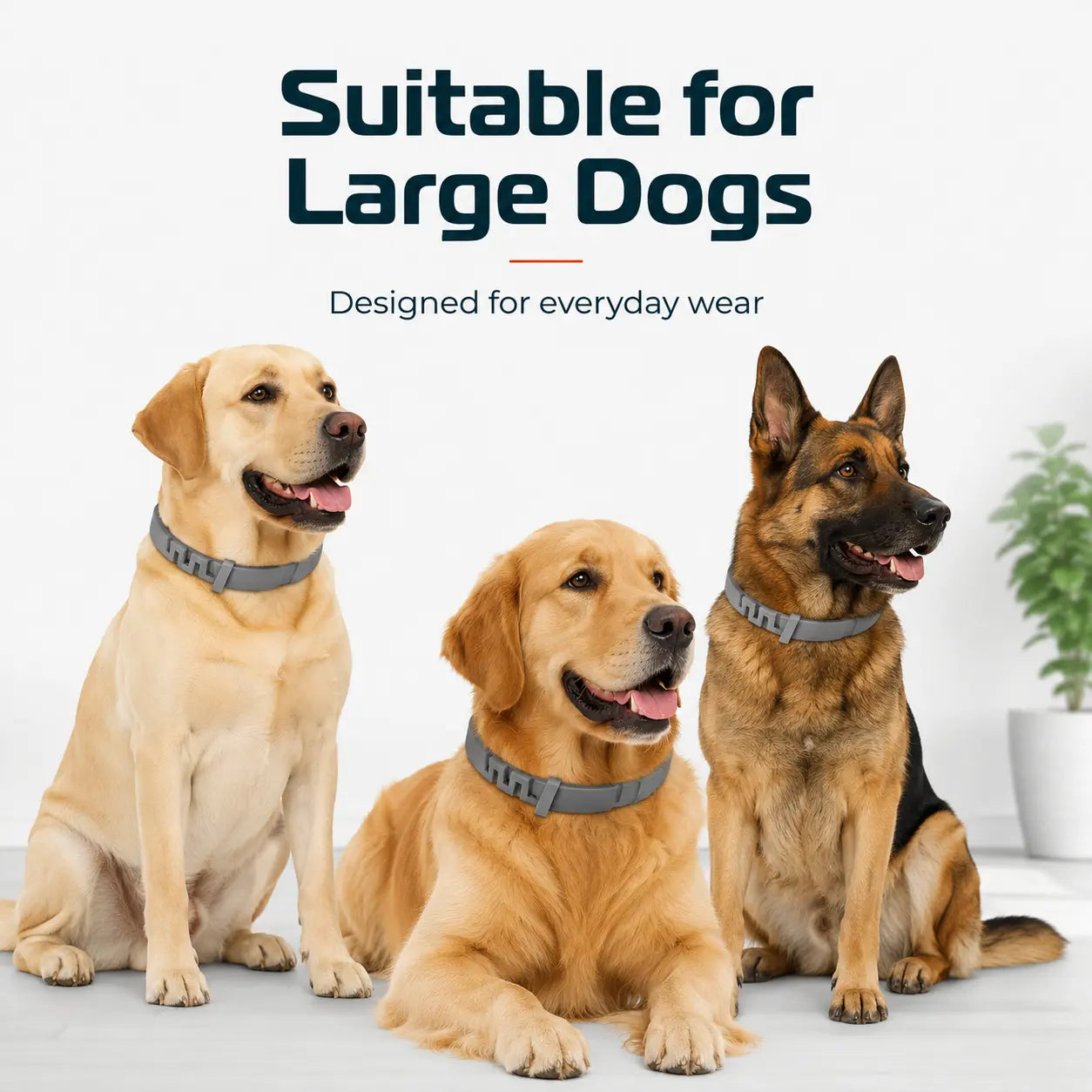 Gainstarx Adjustable Fresh Scent Dog Collar – Comfortable Lightweight Pet Collar for Large Dogs (Over 18 lbs)