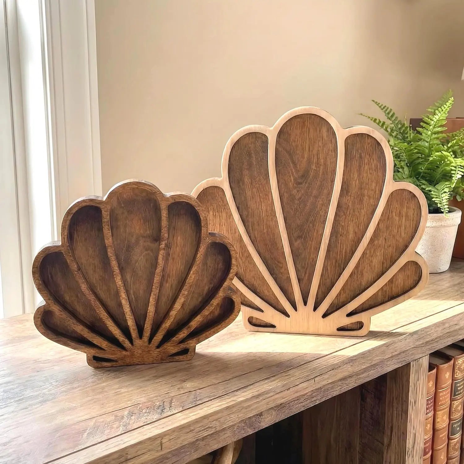 Wooden Seashell Display Box – Coastal Beach Decor Shadow Box