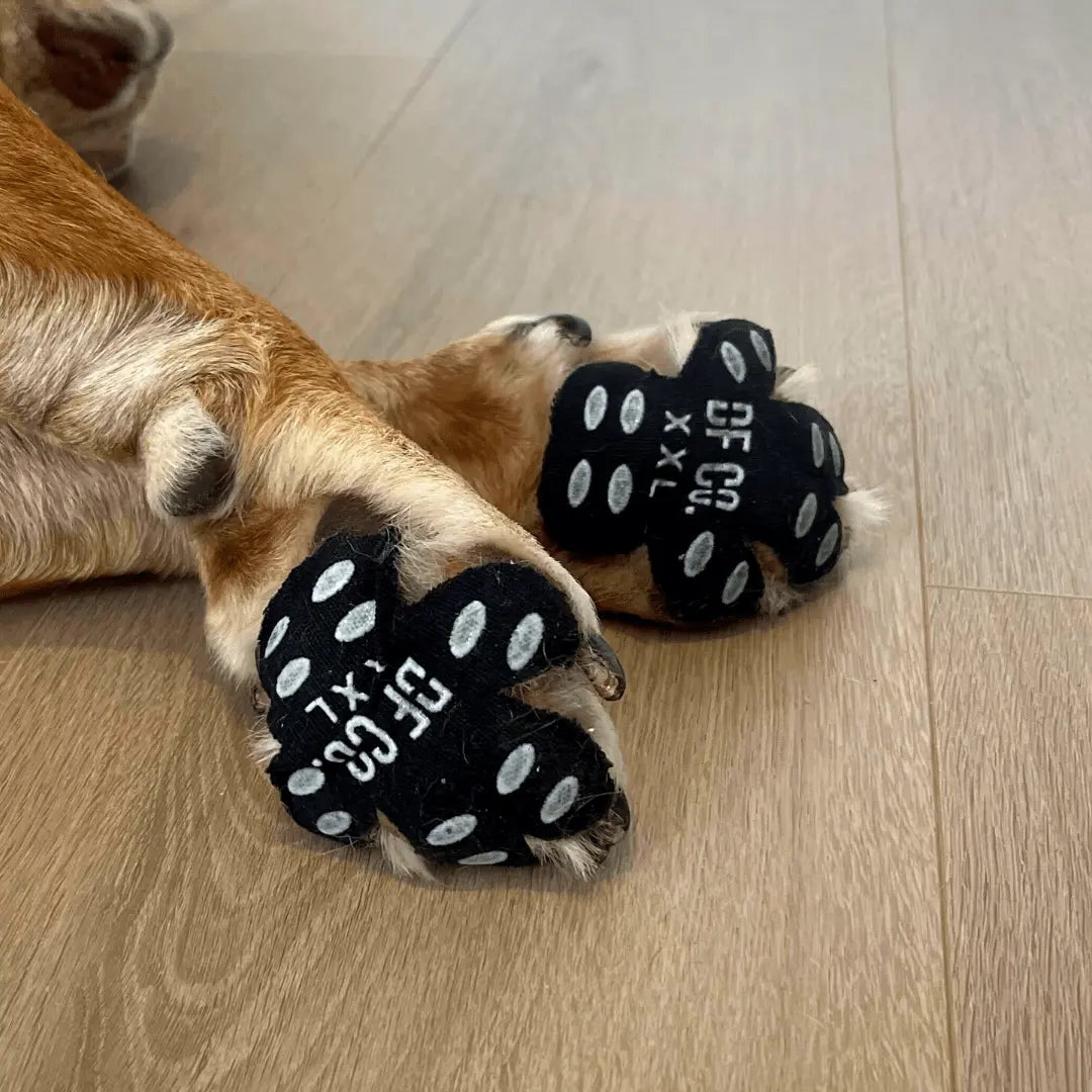 Dog Paw Pad Protectors - Dog Friendly Co. Paw Grooming Board Paw Trimmer