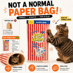 Crinkle Cat Hideout Bag for Indoor Play Tunnel and Cozy Pet Bed
